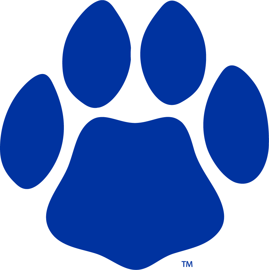 Georgia State Panthers 2009-2012 Secondary Logo diy iron on heat transfer